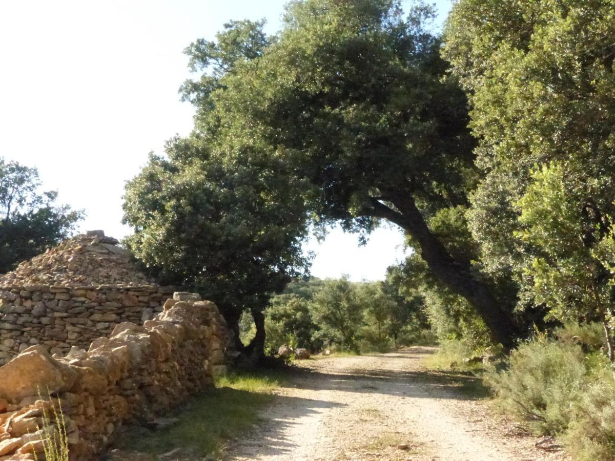 Molino Dolz Villa La Iglesuela del Cid Eksteriør bilde