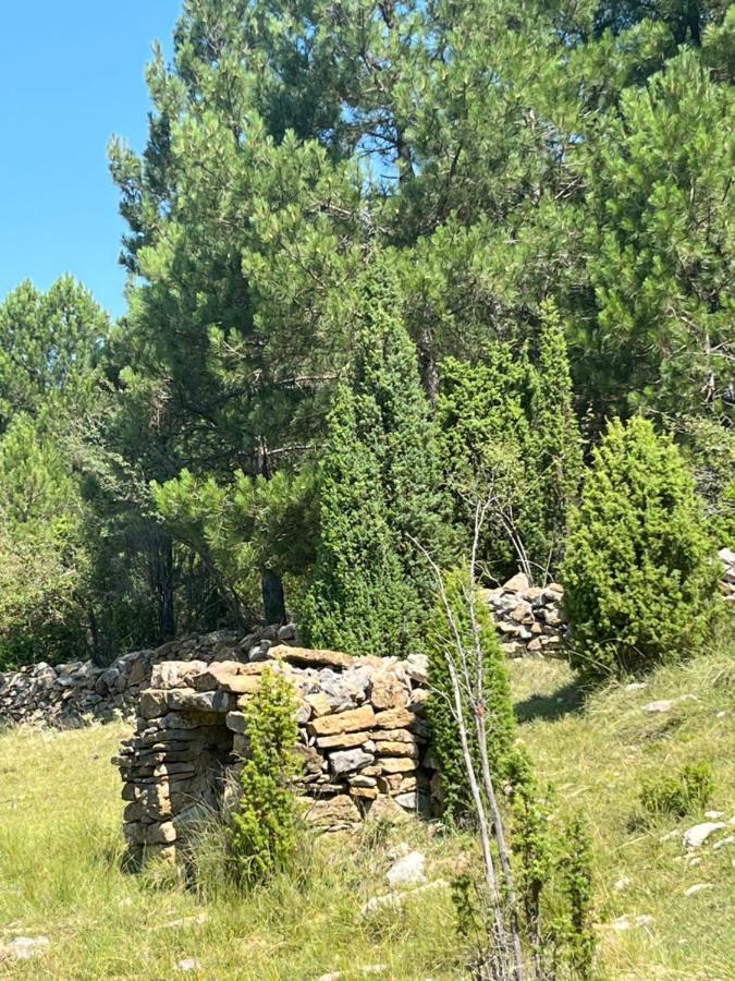 Molino Dolz Villa La Iglesuela del Cid Eksteriør bilde